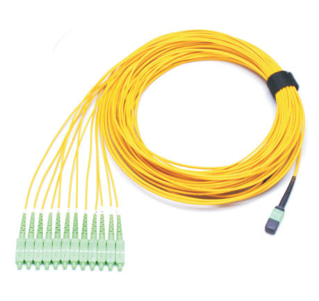 UPC MPO a fibra ottica OFNR MP MPO al connettore dello Sc di USCITA di LC 12F